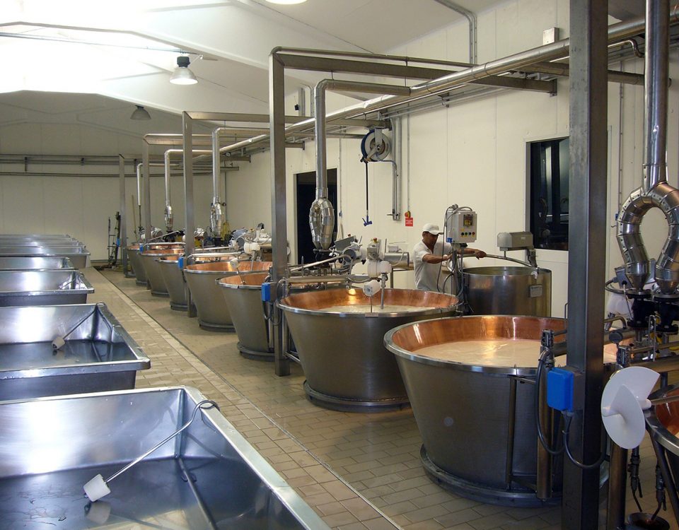 Equipment for the production of cheese